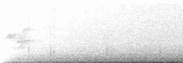 Gray-streaked Flycatcher - ML569215911