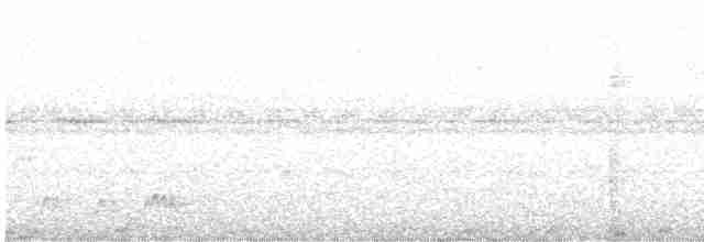 Rufous Nightjar - ML569232331