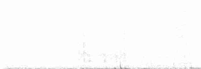 Chihuahuan Meadowlark - ML569236981