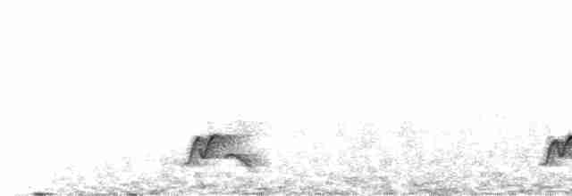 Серогрудый крапивник - ML569239531