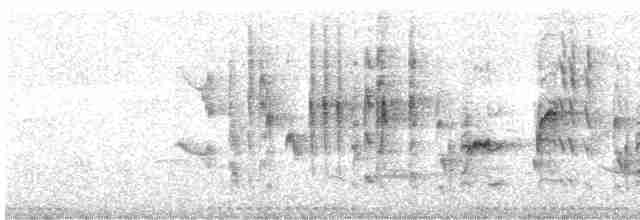 Eastern Subalpine Warbler - ML569243551