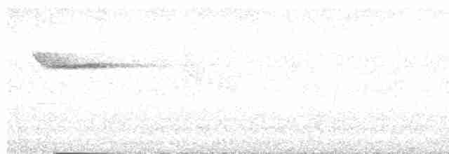 Вилохвістка білочуба - ML569255061