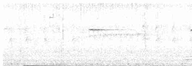 Сероспинная вилохвостка - ML569255141