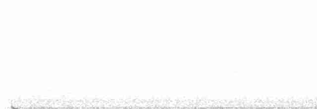 Black-throated Green Warbler - ML569274921