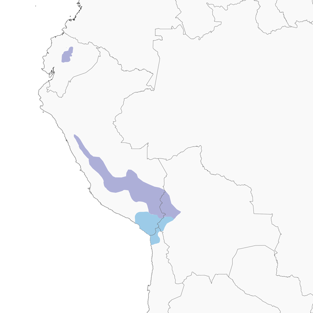 Distribution of the Andean Ibis - Andean Ibis - 