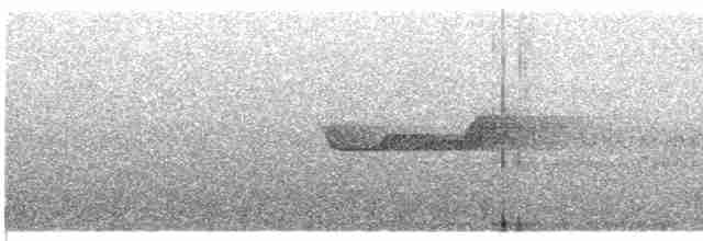 Gri Başlı Kanarya Sinekkapanı - ML569300761