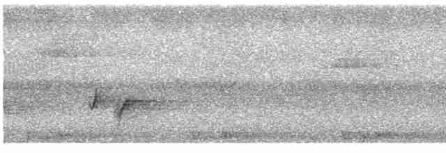 Kül Rengi Arapbülbülü (remotus) - ML569300781