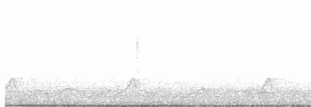 Schwarzkehl-Nachtschwalbe - ML569318811