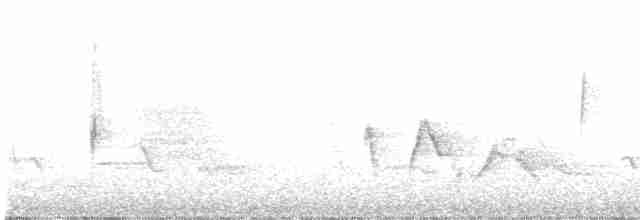Vireo Ojiblanco - ML569343371