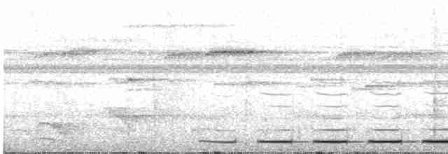 Strichelbrust-Ameisenpitta - ML569346901