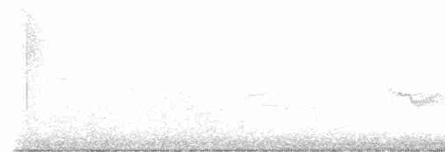 Chestnut-sided Warbler - ML569351291