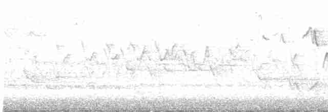 Cerulean Warbler - ML569351361