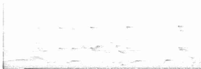 White-breasted Waterhen - ML569359711