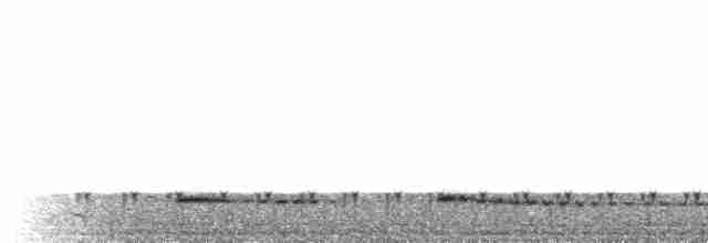 Small-billed Tinamou - ML569371561