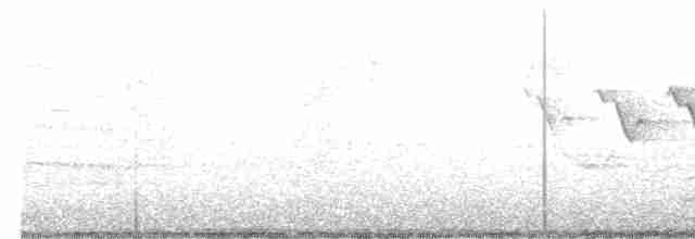 Yellow-throated Warbler - ML569381411