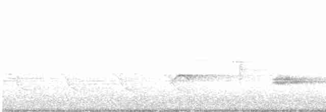 Kara Kanatlı Piranga - ML569386271