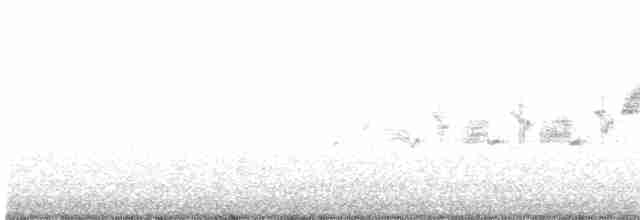 Black-throated Gray Warbler - ML569405731