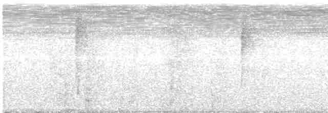 Тиранка світлогорла - ML569433911