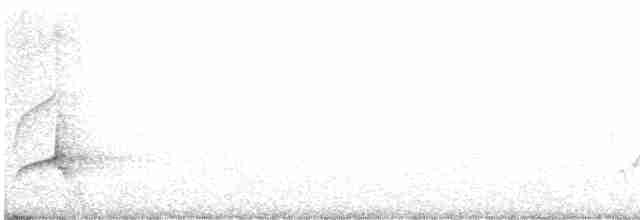 Sarı Karınlı Sinekkapan - ML569492001