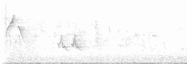 Tennessee Warbler - ML569505291