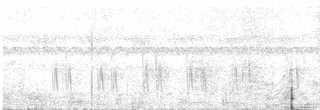 Braunnackenfrankolin (Schwarzstirnfrankolin) - ML569513601