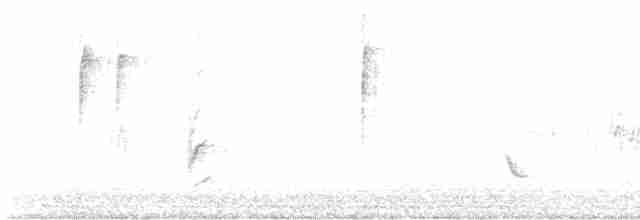Oriole de Bullock - ML569524371