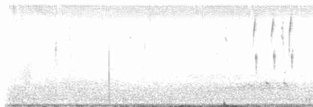 Loggerhead Shrike - ML569553061