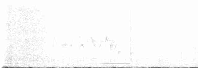 Талпакоті строкатоголовий - ML569613211