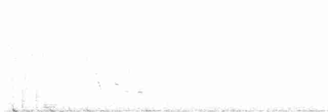 Прерийная овсянка-барсучок - ML569616361
