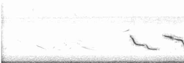 Chihuahuan Meadowlark - ML569755241