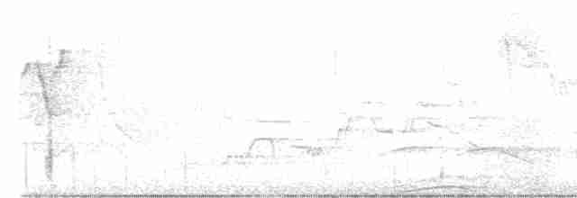 Cerulean Warbler - ML569763321