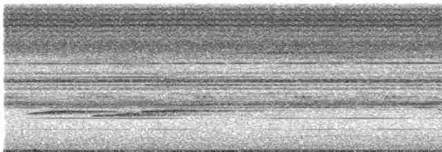 Küpeli Çalı Timalyası - ML569785121