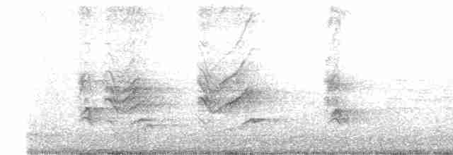 hýl rudoprsý [skupina mexicanus] - ML569794151