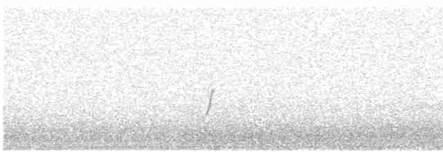 斑胸秧雞 - ML569807131