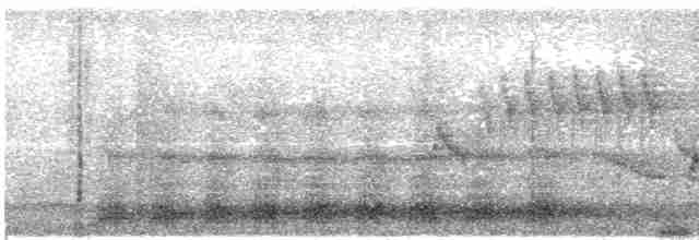 Серый павлиний фазан - ML569814161
