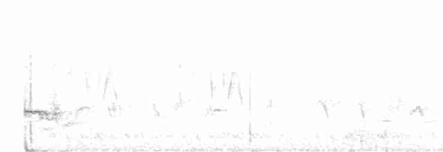 svartskjegglattertrost - ML569820071