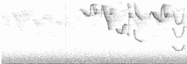 Гвианский колибри-отшельник - ML569880141