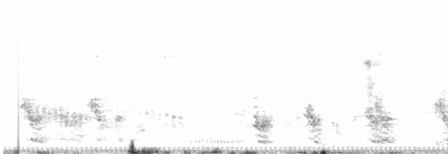 Lichtenstein's Sandgrouse - ML569891881