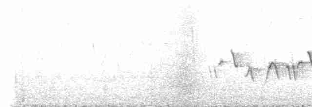 Common Yellowthroat - ML569919701