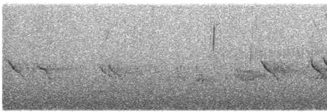 Evening Grosbeak (type 1) - ML569941201