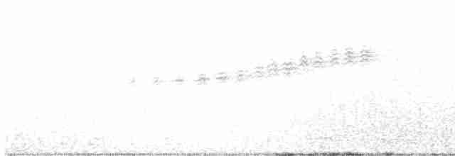 Prairie Warbler - ML569952581