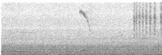 Geniş Gagalı Kolibri - ML570006161