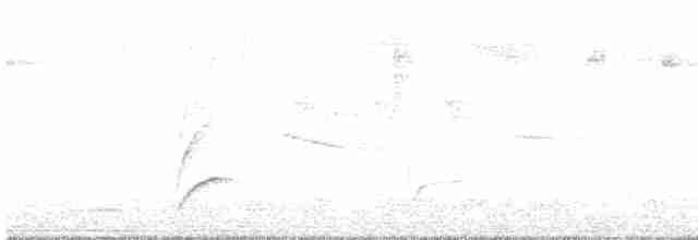 Дрізд-короткодзьоб Cвенсона - ML570008591