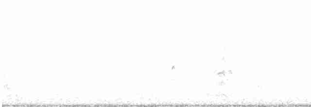 Australian Fairy Tern - ML570094021