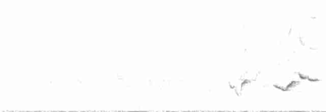Черноспинный толстонос - ML570109641