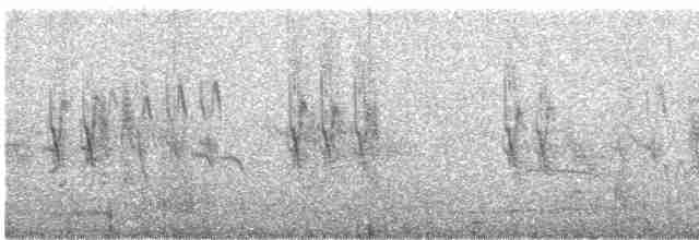 Малая чечётка - ML57011101