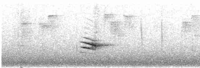 Пестрогорлая юхина - ML570122821