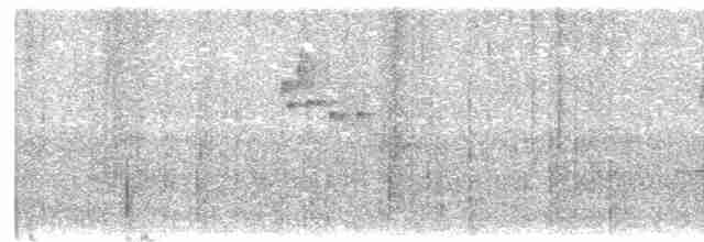Sarımsı Çıtkuşu - ML570123191