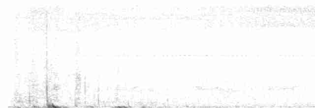Schleppennachtschwalbe - ML570184821