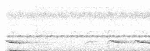 Uzun Kuyruklu Guguk - ML570184861